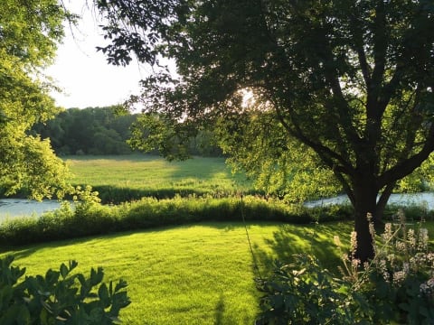 Lush green lawn with trees and a river in the background under sunlight.