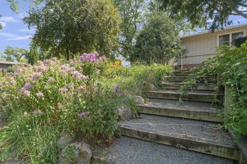 Wooden steps leading through a colorful flower garden toward a house, surrounded by greenery on a sunny day.